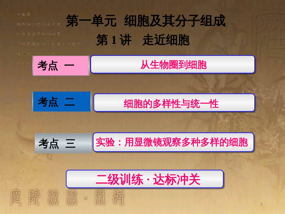 高考生物一轮复习 第二单元 基因的本质与表达 第1讲 DNA是主要的遗传物质课件（必修2） (17)_第1页