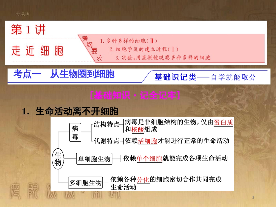 高考生物一轮复习 第二单元 基因的本质与表达 第1讲 DNA是主要的遗传物质课件（必修2） (17)_第2页