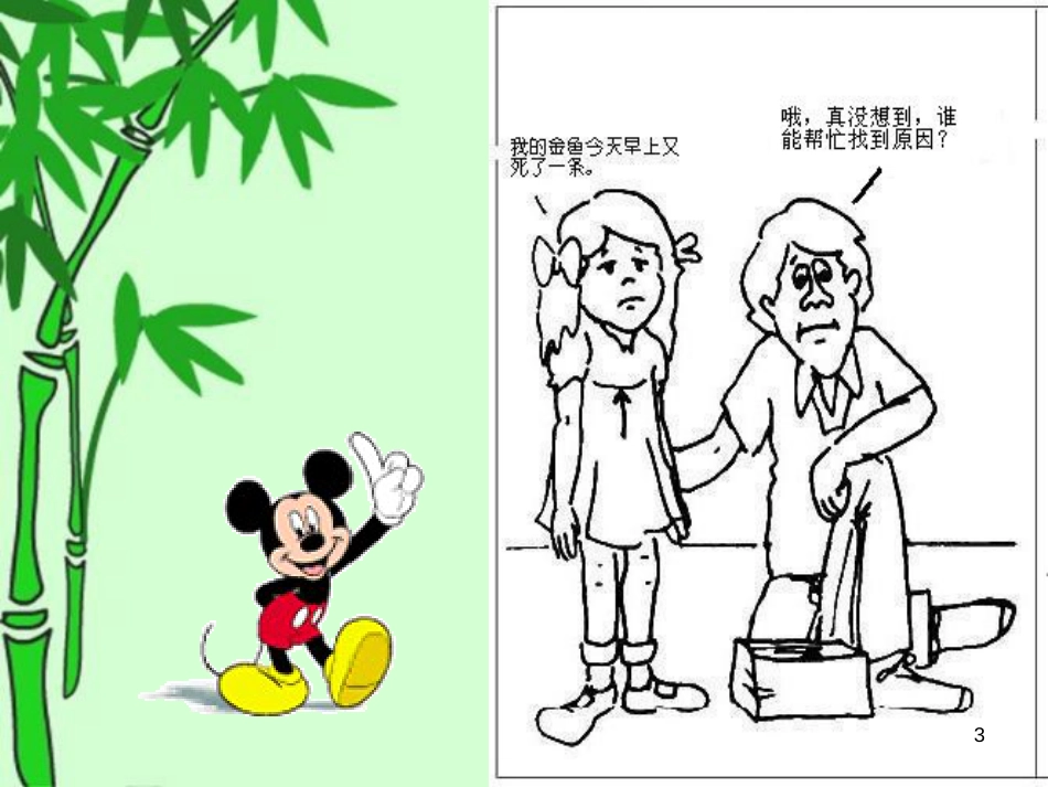 八年级生物下册 13.1 生物的分类课件1 北京版 (913)_第3页