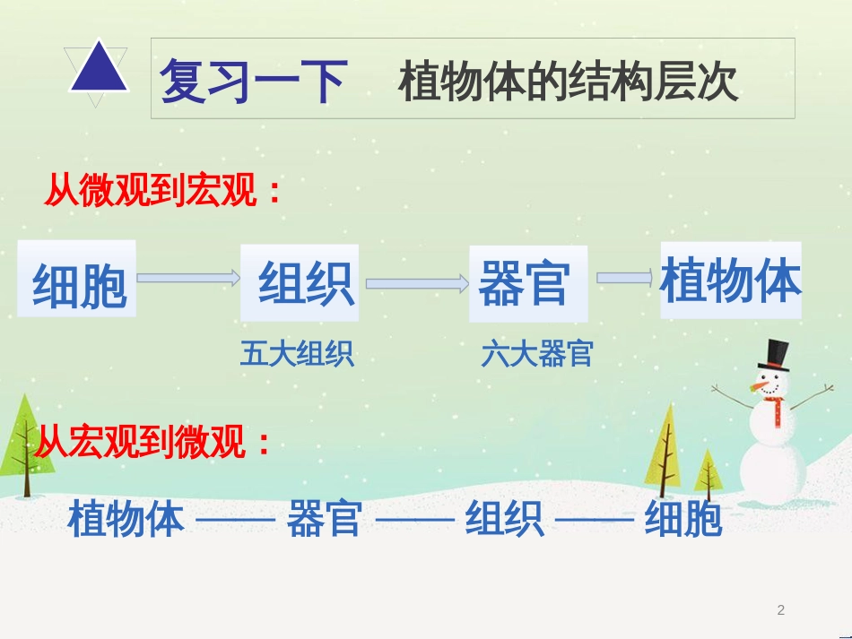 八年级物理上册 1.3《活动降落伞比赛》课件 （新版）教科版 (234)_第2页