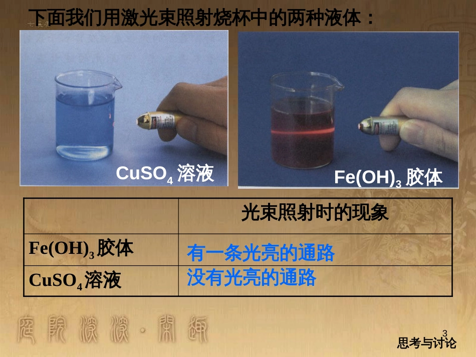 高中生物 5.4 色素提取课件（必修1） (3)_第3页