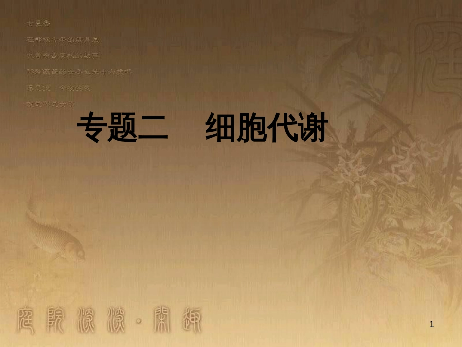 高三生物二轮复习 实验设计题的解题策略课件 (7)_第1页