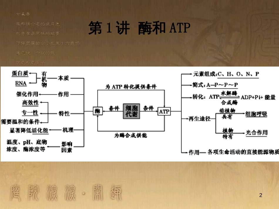 高三生物二轮复习 实验设计题的解题策略课件 (7)_第2页