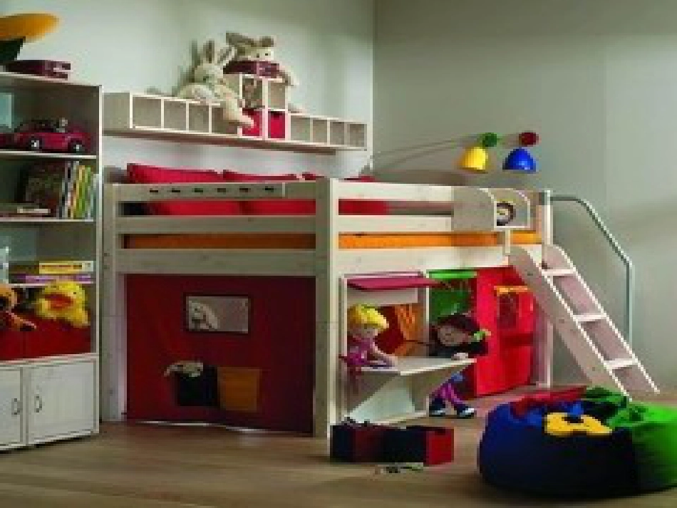 八年级生物下册 13.1 生物的分类课件1 北京版 (1229)_第3页