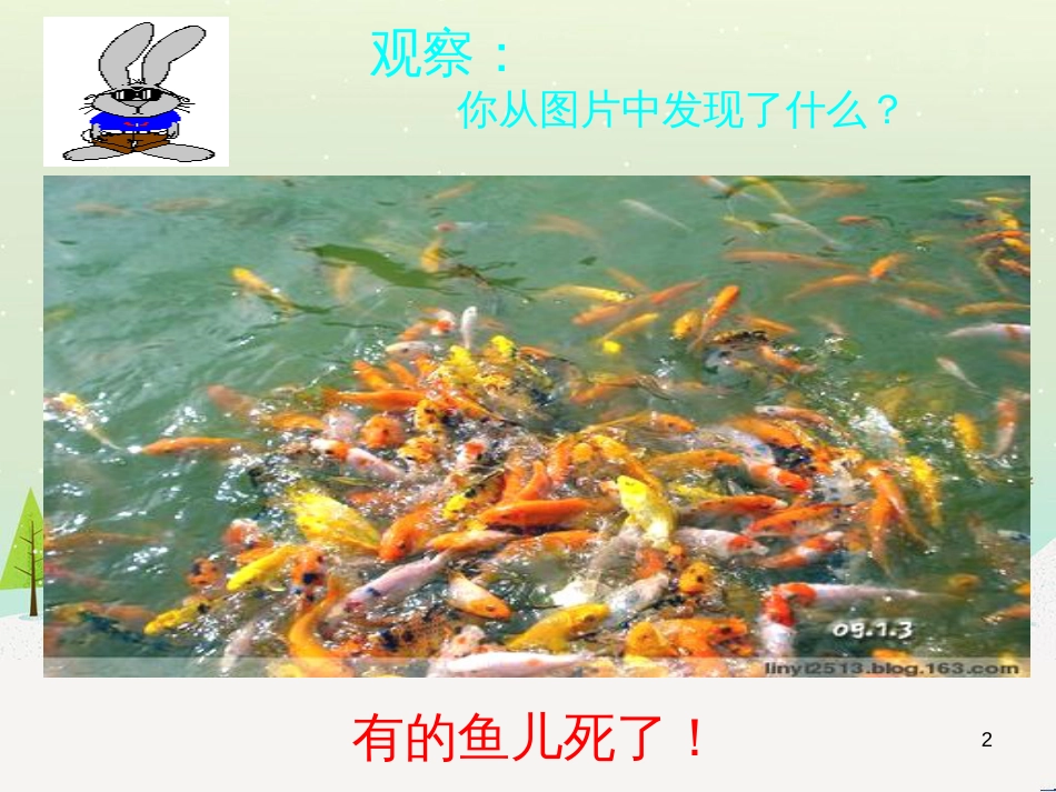 八年级生物下册 13.1 生物的分类课件1 北京版 (904)_第2页