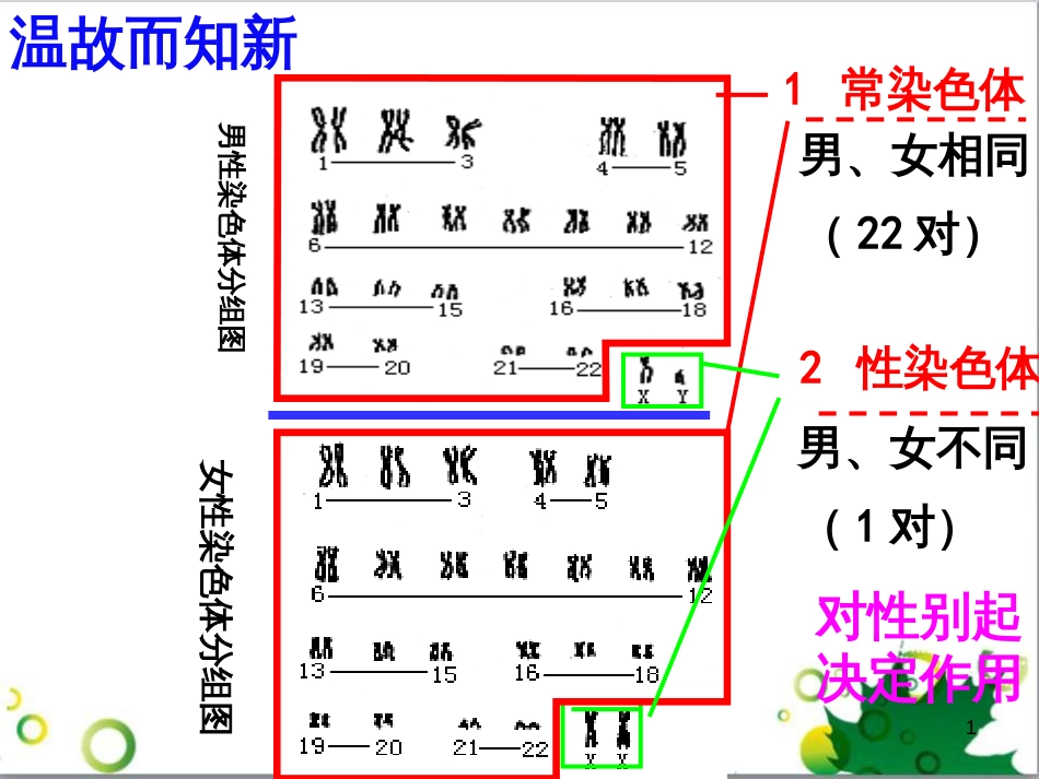 八年级生物下册 第七单元 第二章 第五节 生物的变异课件 （新版）新人教版_第1页