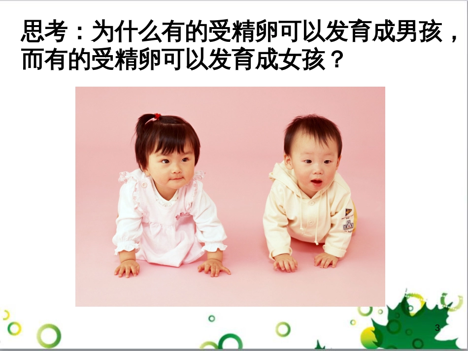 八年级生物下册 第七单元 第二章 第五节 生物的变异课件 （新版）新人教版_第3页