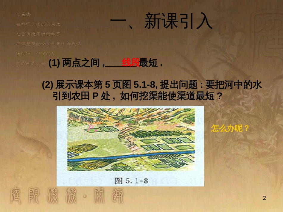 八年级语文上册 第四单元 19《生物入侵者》课件 新人教版 (4)_第2页