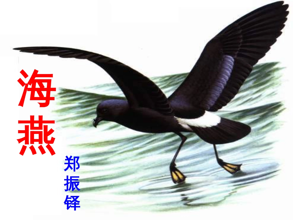 八年级生物下册 13.1 生物的分类课件1 北京版 (756)_第3页