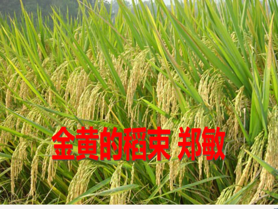 八年级物理上册 1.3《活动降落伞比赛》课件 （新版）教科版 (588)_第1页