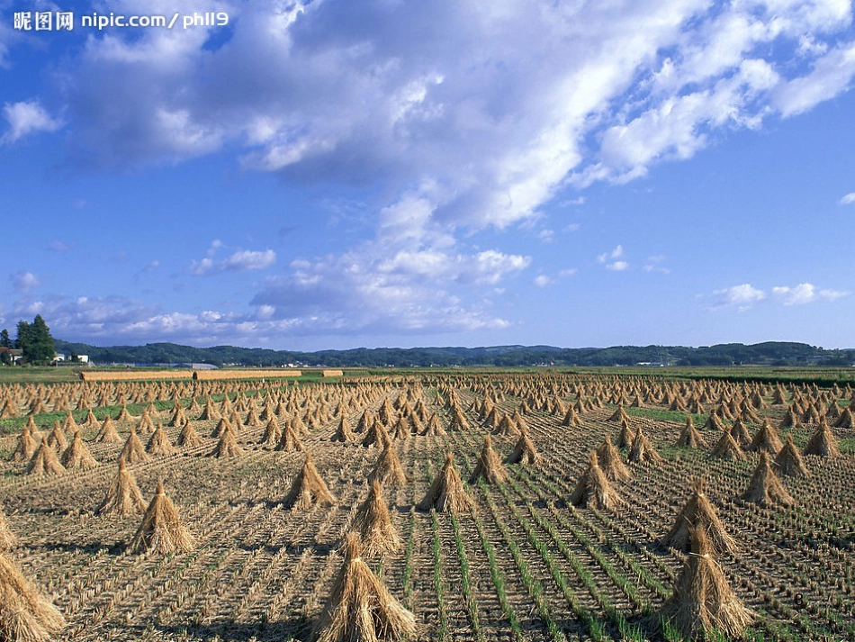 八年级物理上册 1.3《活动降落伞比赛》课件 （新版）教科版 (588)_第3页