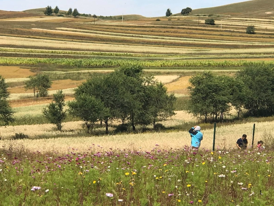 八年级物理上册 1.3《活动降落伞比赛》课件 （新版）教科版 (1721)_第1页