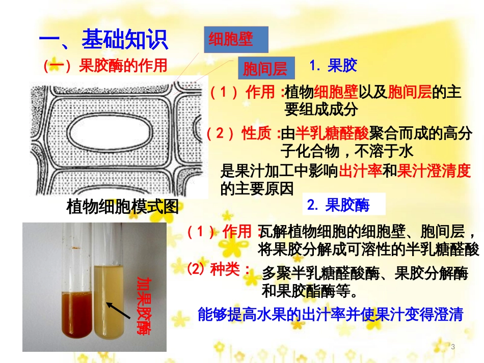 高中生物 专题4 酶的研究与应用 课题1 果胶酶在果汁生产中的作用课件 新人教版选修1_第3页