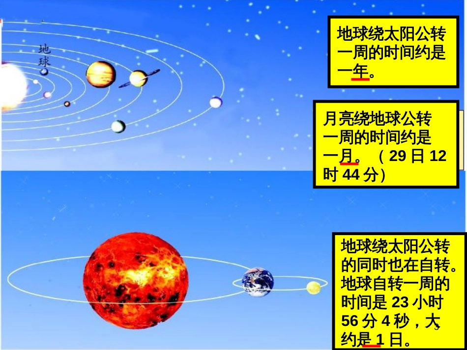 八年级生物下册 13.1 生物的分类课件1 北京版 (517)_第3页