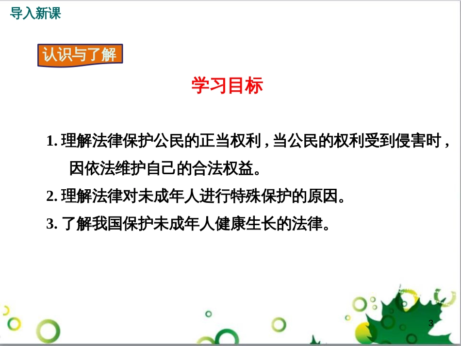 八年级政治上册 第五单元 生活在法律的保护中 第一节 生活中的法律保护教学课件 湘教版_第3页