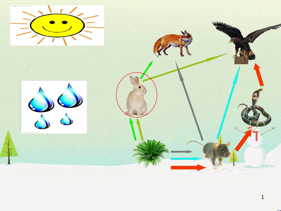 八年级生物下册 第六单元 第一章 生物与环境的相互作用课件 （新版）济南版_第1页