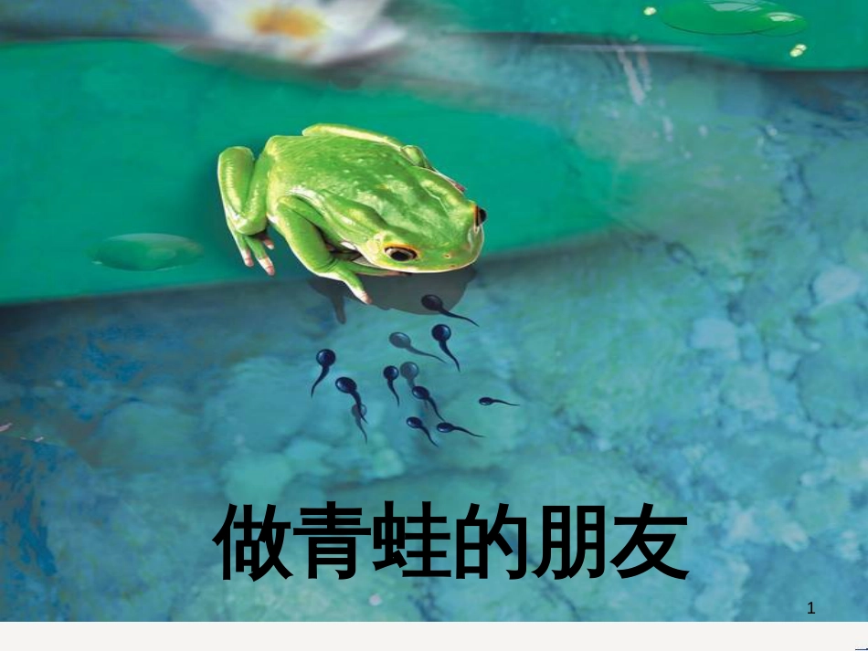 八年级生物下册 13.1 生物的分类课件1 北京版 (408)_第1页