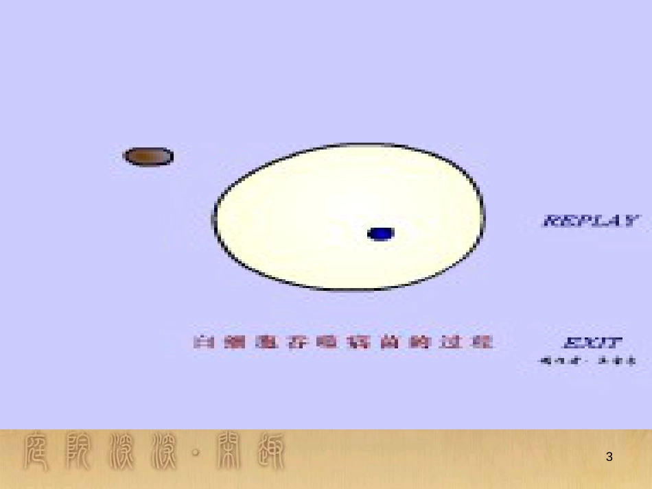 高中生物 5.4 色素提取课件（必修1） (20)_第3页