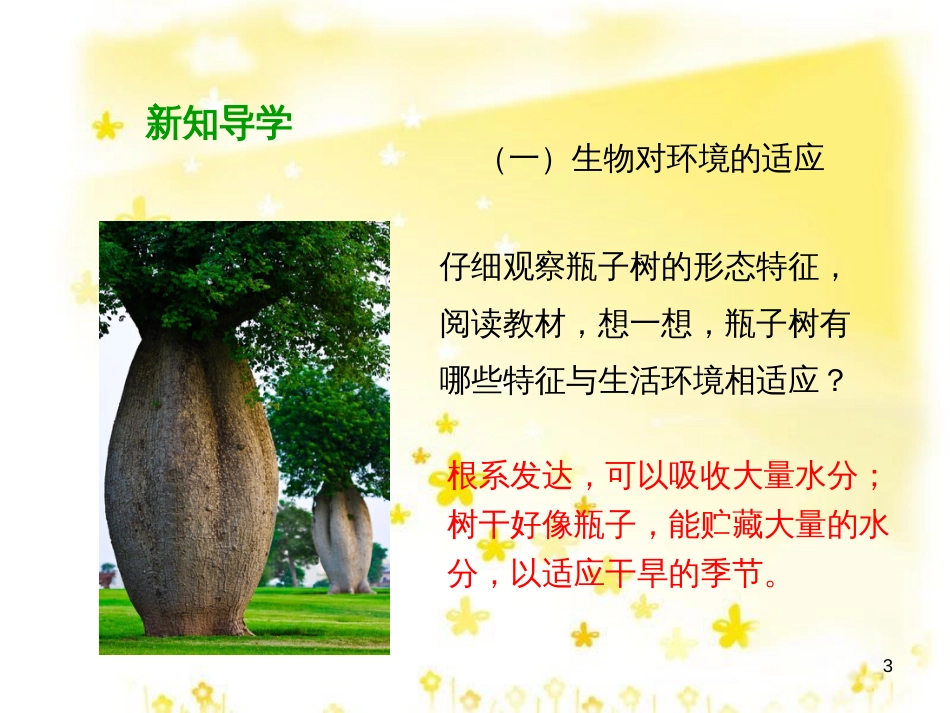 八年级生物下册 第七单元 第一章 第二节《生物对环境的适应和影响》课件 （新版）冀教版_第3页