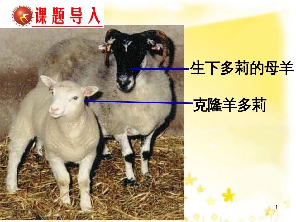 高中生物 第三章 细胞的基本结构 3.3 细胞核-系统控制的中心课件 新人教版必修1_第1页