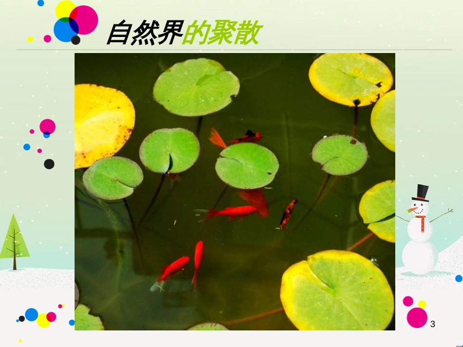 八年级生物下册 13.1 生物的分类课件1 北京版 (405)_第3页