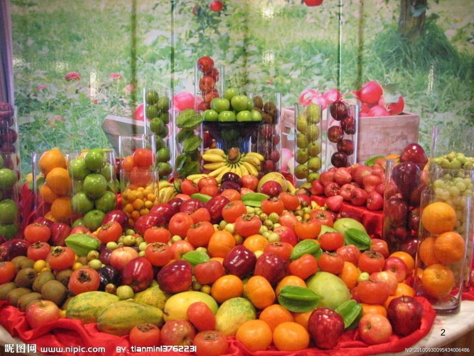 八年级生物下册 13.1 生物的分类课件1 北京版 (1246)_第2页