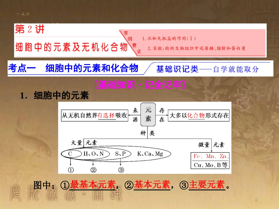 高考生物一轮复习 第二单元 基因的本质与表达 第1讲 DNA是主要的遗传物质课件（必修2） (16)_第2页