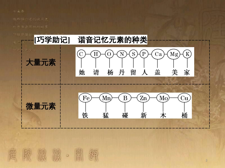 高考生物一轮复习 第二单元 基因的本质与表达 第1讲 DNA是主要的遗传物质课件（必修2） (16)_第3页