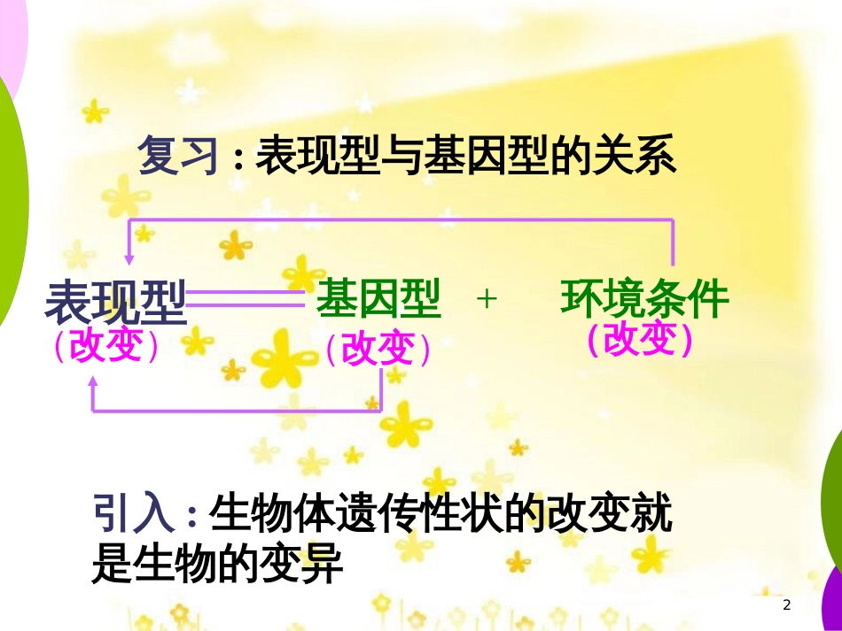 高中生物 第四章 基因的表达 4.4 基因突变与基因重课件 新人教版必修2_第2页