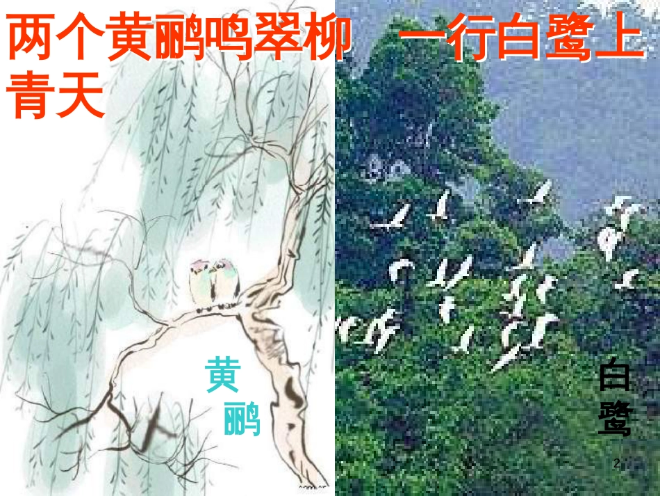 八年级生物上册 5.3《动物在生物圈中的作用》课件5 （新版）新人教版_第2页