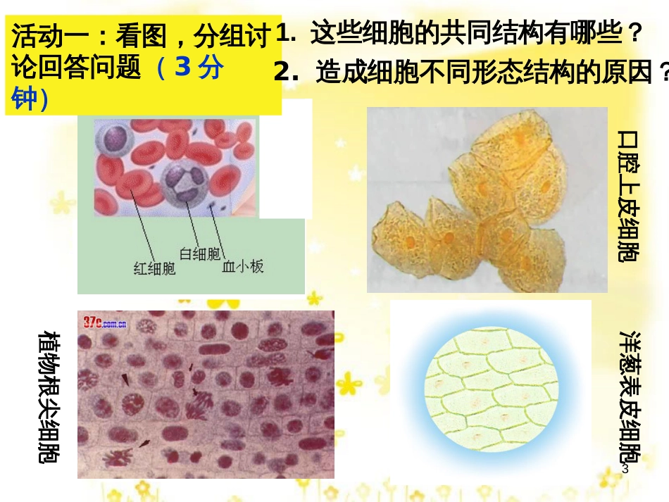 高中生物 1.2 细胞的多样性与统一性课件 新人教版必修1_第3页