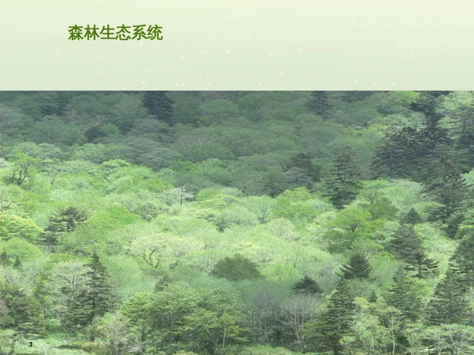 八年级物理上册 1.3《活动降落伞比赛》课件 （新版）教科版 (229)_第3页