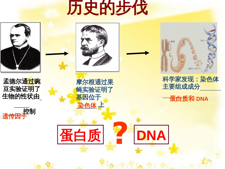 高中生物 3.1 DNA是主要的遗传物质课件 新人教版必修2_第2页