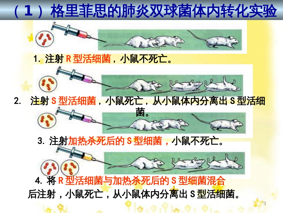 高中生物 3.1 DNA是主要的遗传物质课件 新人教版必修2_第3页