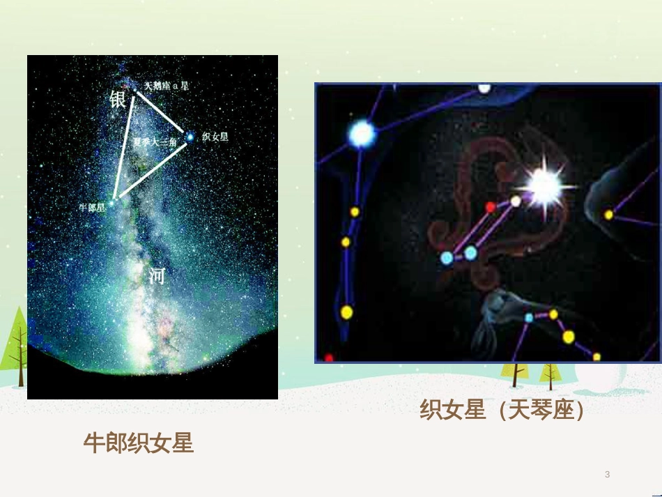 八年级生物下册 13.1 生物的分类课件1 北京版 (771)_第3页