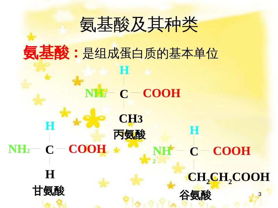 高中生物 2.2 生命活动的主要承担者——蛋白质课件 新人教版必修1_第3页