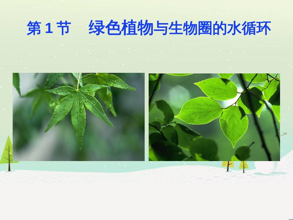 八年级生物上册 6.18.1《绿色植物与生物圈的水循环》课件 （新版）苏科版_第3页