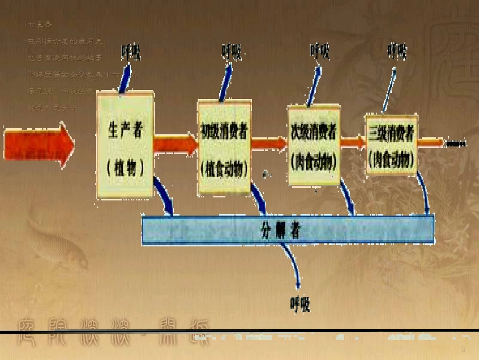 高中语文 11包身工课件 新人教版必修1 (30)_第3页