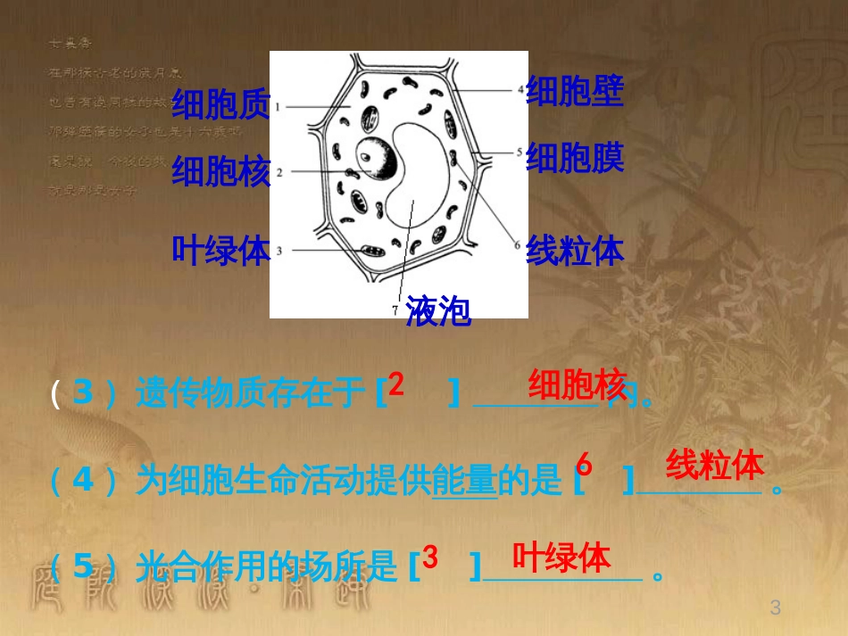 八年级生物下册 第二轮复习 生物圈中的人专题课件 新人教版 (24)_第3页