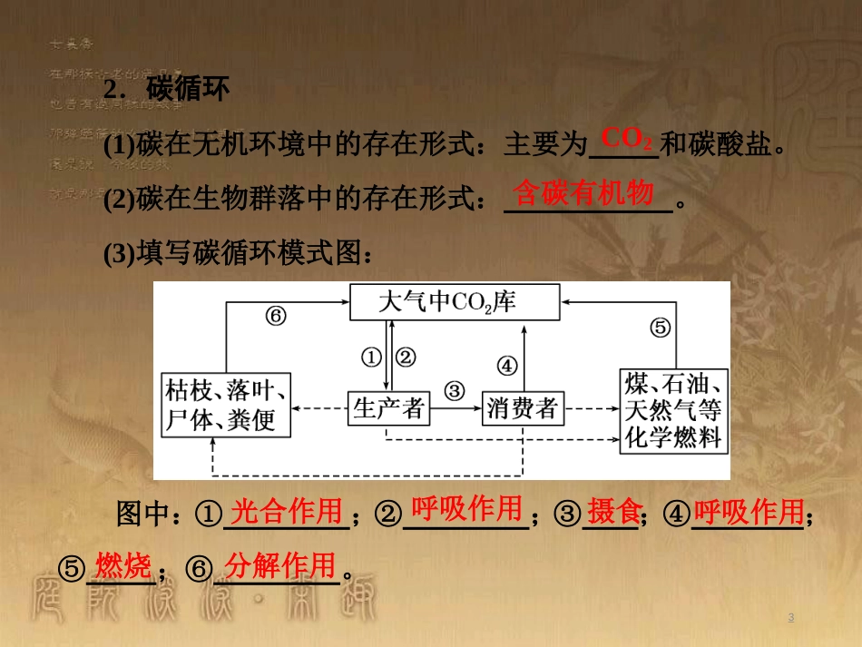 高考生物一轮复习 第二单元 基因的本质与表达 第1讲 DNA是主要的遗传物质课件（必修2） (28)_第3页