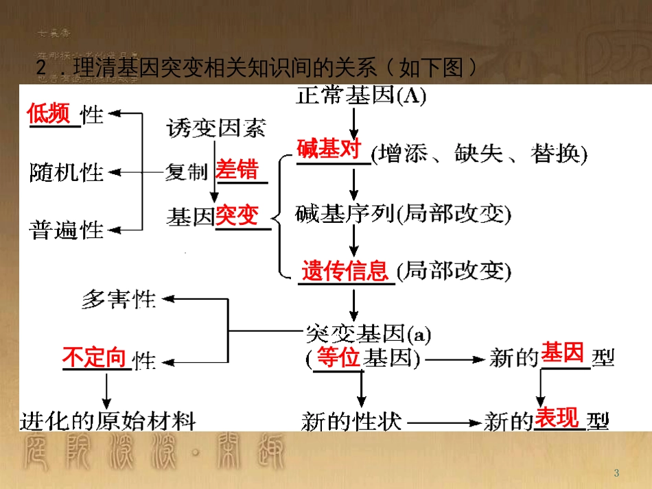 高考生物一轮复习 专题四 光合作用和细胞呼吸（第1课时）课件 苏教版 (29)_第3页