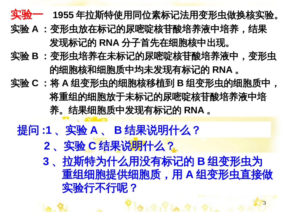 高中生物 第三章 3.4 遗传信息的表达——RNA和蛋白质的合成课件 浙科版必修2_第3页