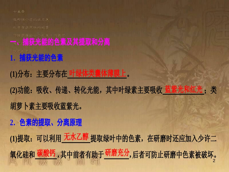 高考生物一轮复习 第八单元 生命活动的调节 第二讲 通过神经系统的调节课件 新人教版 (101)_第2页