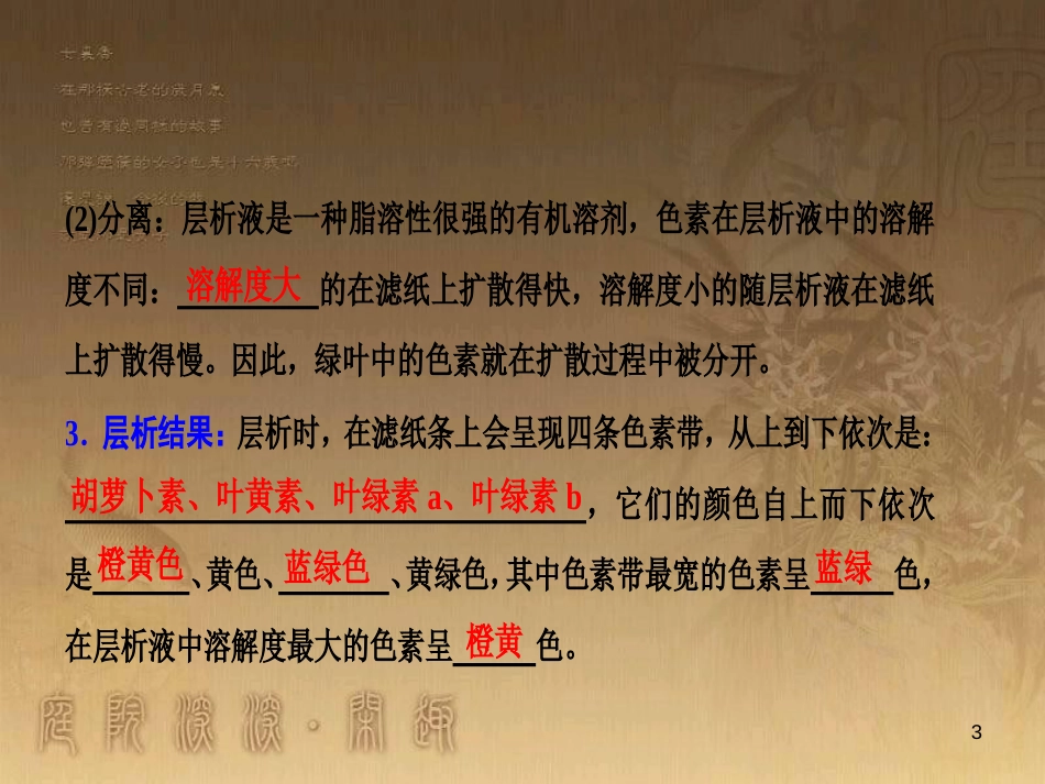高考生物一轮复习 第八单元 生命活动的调节 第二讲 通过神经系统的调节课件 新人教版 (101)_第3页