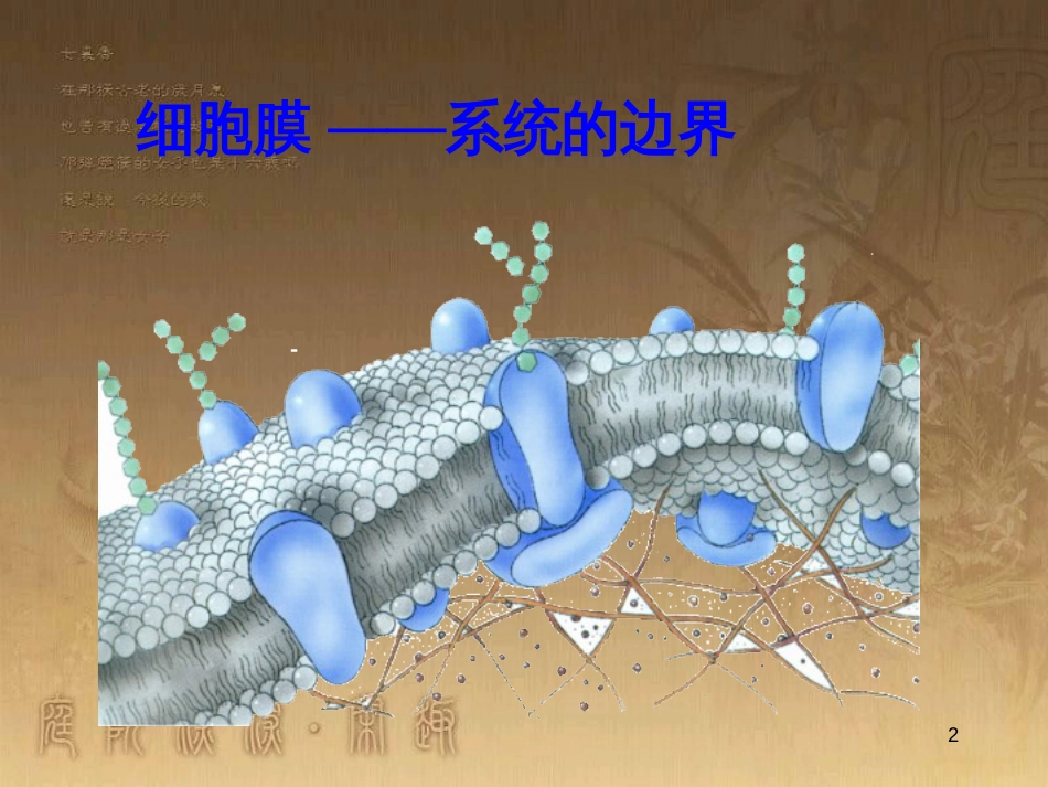 高中生物 5.4 色素提取课件（必修1） (21)_第2页