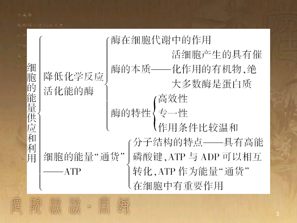 高中生物 走近细胞小结课件 新人教版必修1 (24)_第3页