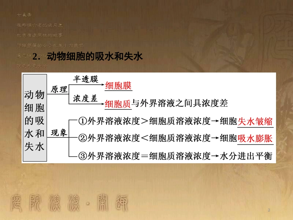 高考生物一轮复习 第二单元 基因的本质与表达 第1讲 DNA是主要的遗传物质课件（必修2） (41)_第3页
