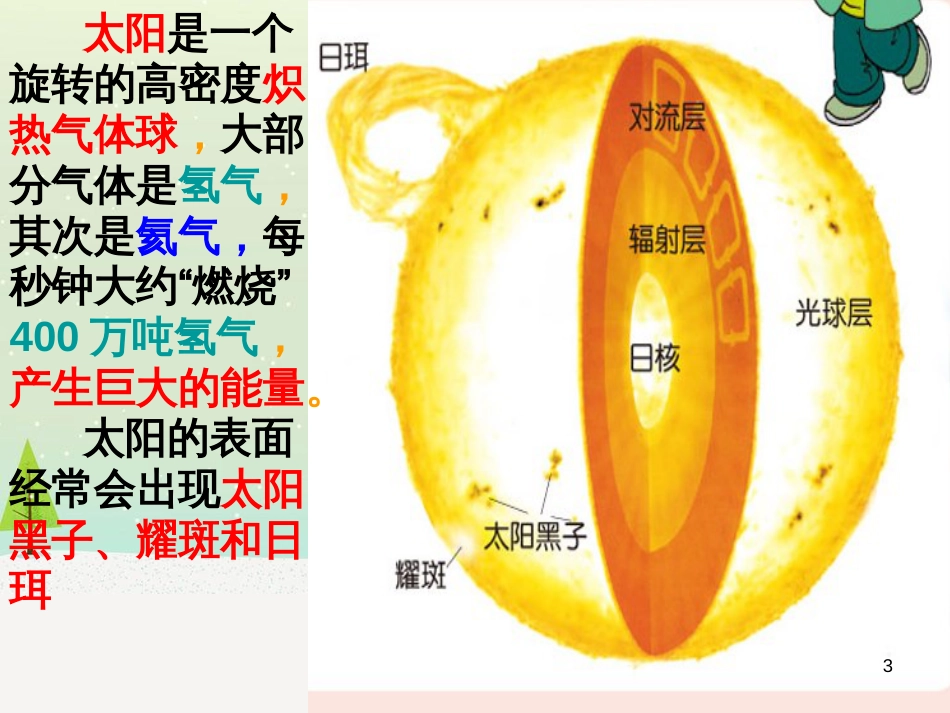 八年级生物下册 13.1 生物的分类课件1 北京版 (446)_第3页