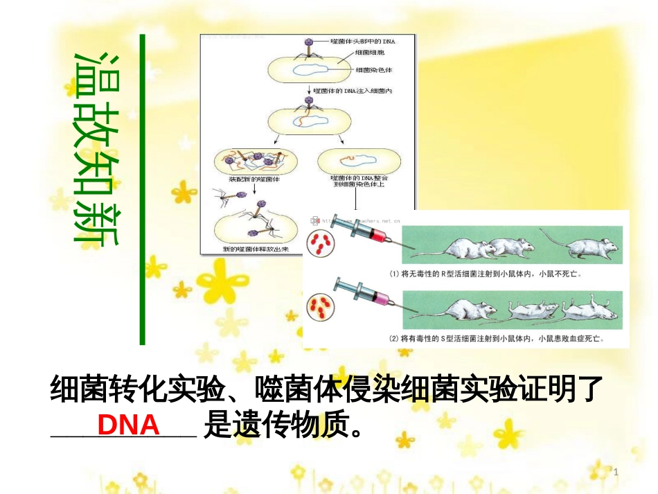 高中生物 第三章 基因的本质 3.2.1 DNA分子的结构教学课件 新人教版必修2_第1页