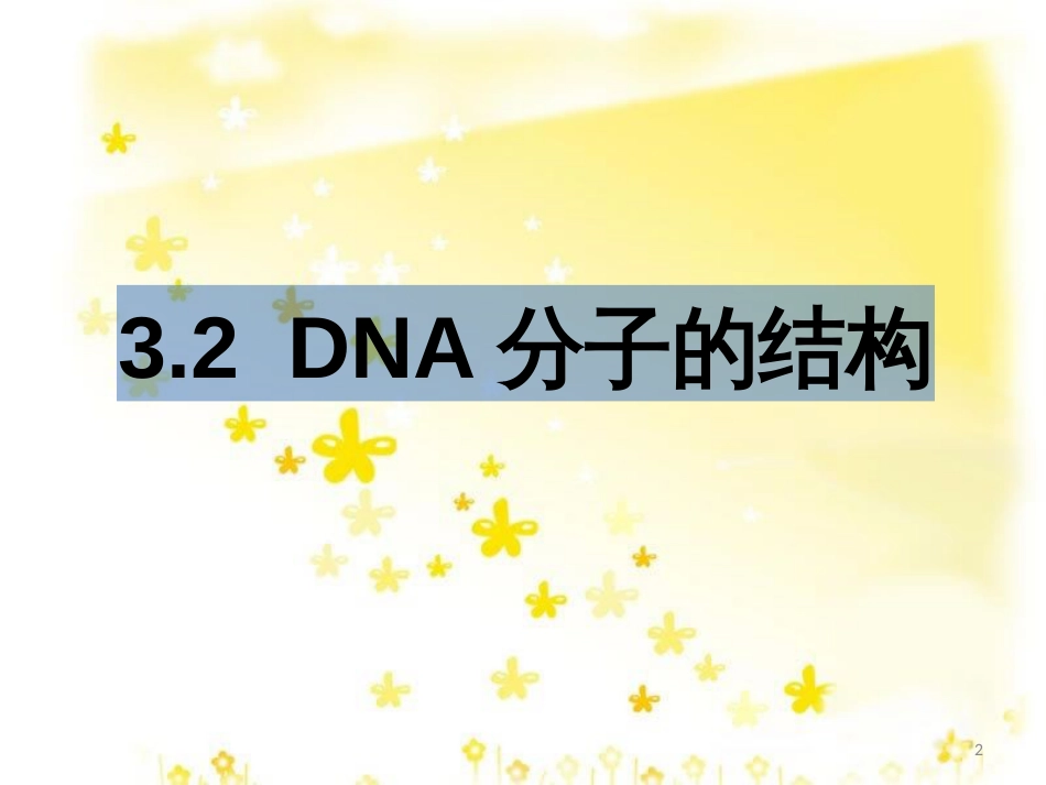 高中生物 第三章 基因的本质 3.2.1 DNA分子的结构教学课件 新人教版必修2_第2页